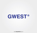Gwest Konya Bayileri