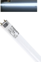 36w SnowWhite Ampul Philips