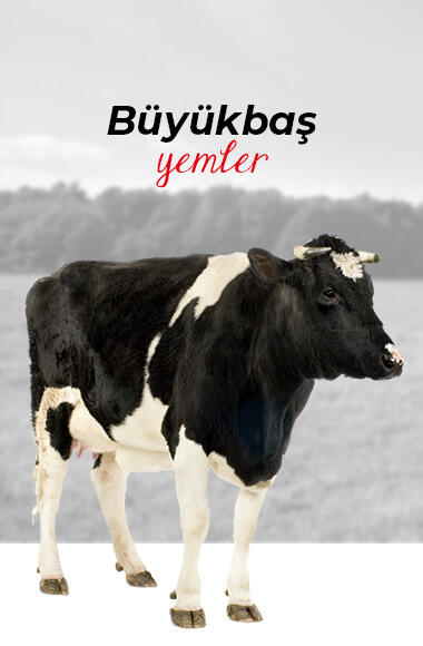 BALCILAR YEM SANAYİ LTD.ŞTİ