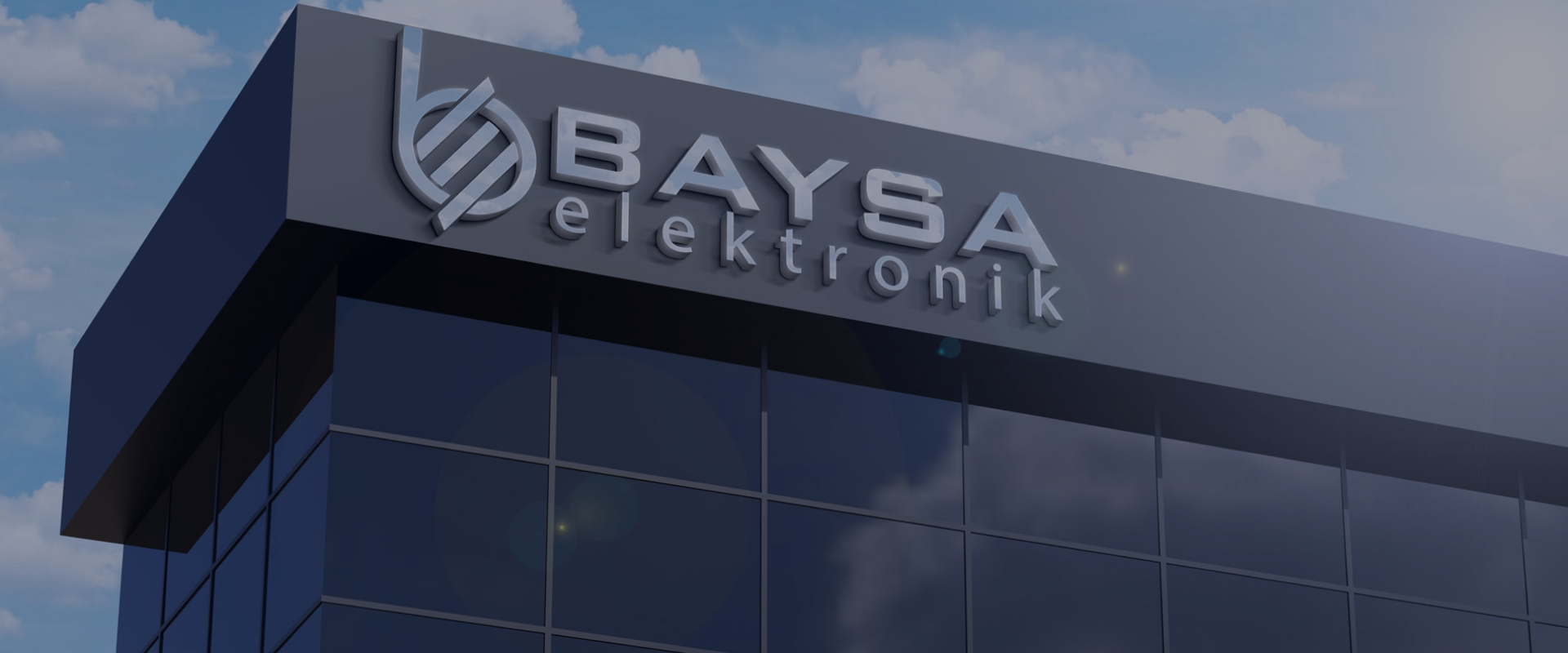 BAYSA Elektronik: Endüstriyel Ölçüm ve Kontrol Ekipmanlarında Mühendislik Çözümleri 3 BAYSA elektronik SANAYİ VE TİCARET LİMİTED ŞİRKETİ