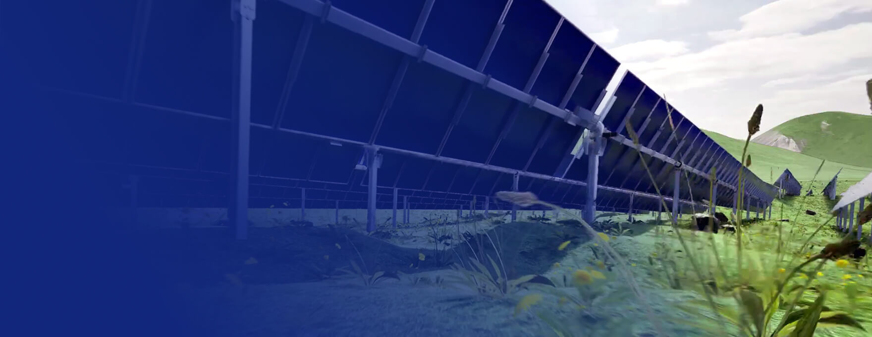 BAŞARI SOLAR ENERJİ ÜRETİM ANONİM ŞİRKETİ