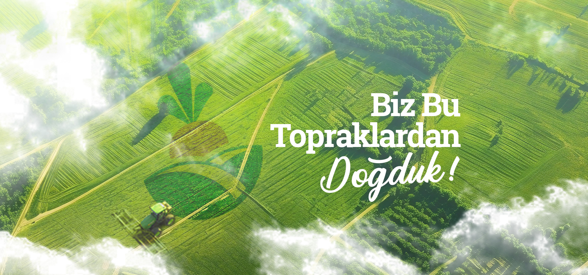 BOR ŞEKER ANONİM ŞİRKETİ: Türkiye'nin Şeker Üretiminde Köklü Miras ve Geleceğe Yönelik Adımlar 4 BOR ŞEKER ANONİM ŞİRKETİ
