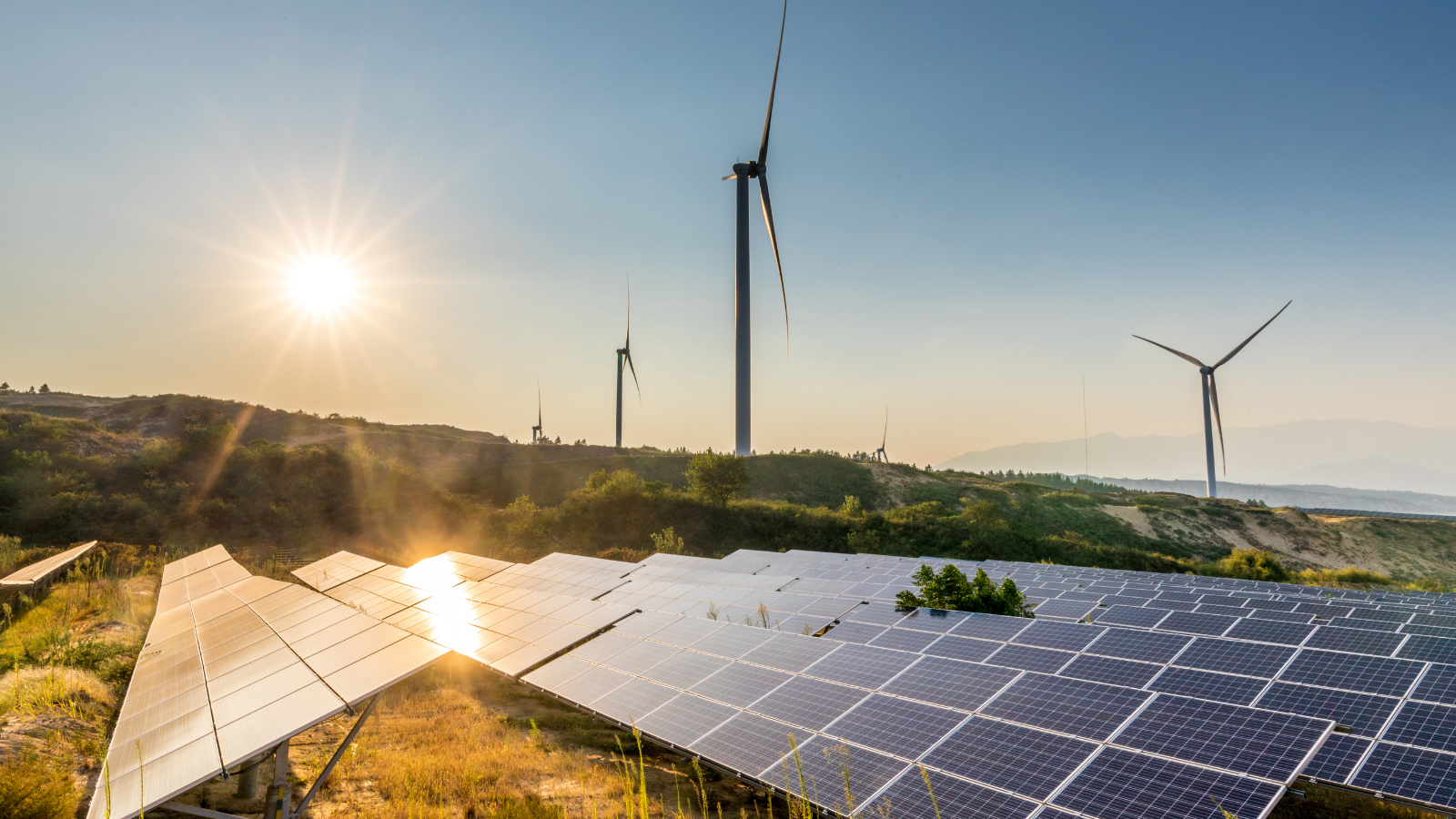 Küresel yenilenebilir kapasite 2025’te 5,1 TW’ı aştı