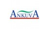 Ankuva AVM