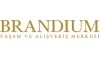 Brandium AVM
