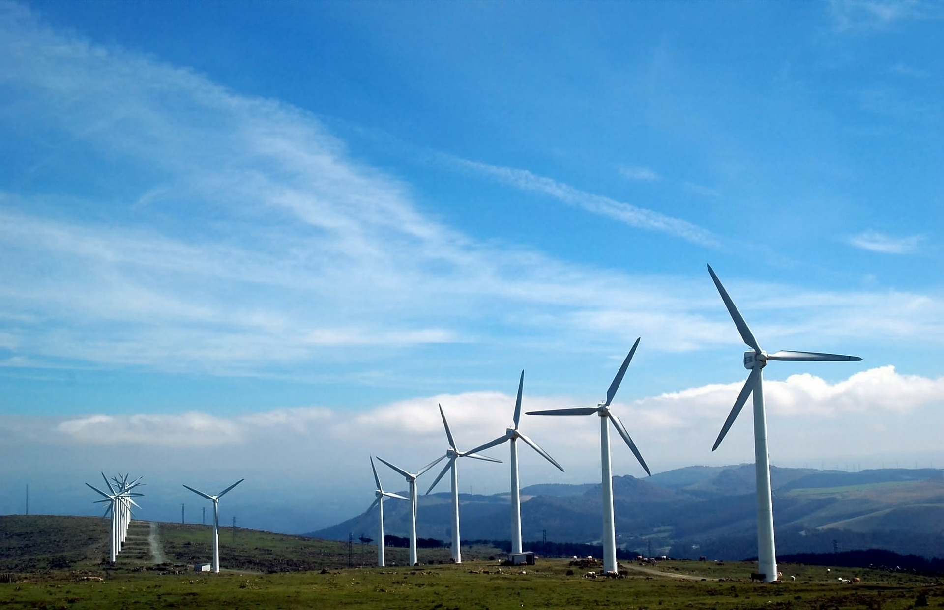 Küresel rüzgâr enerjisinde rekor yıl: Çinli türbin üreticileri pazarın zirvesinde 1 Küresel rüzgâr enerjisinde rekor yıl: Çinli türbin üreticileri pazarın zirvesinde