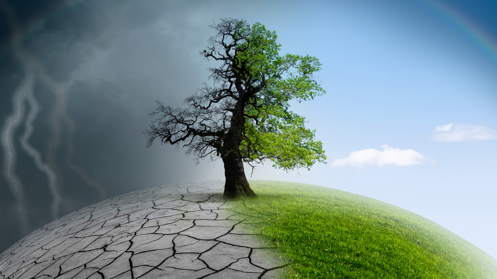 Dünya Meteoroloji Örgütü: İklim sistemi, "tarihteki en dengesiz" döneminde
