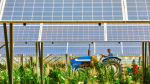 Agrivoltaik sistemler: Tarımsal mikroiklim, enerji verimliliği ve arazi optimizasyonu