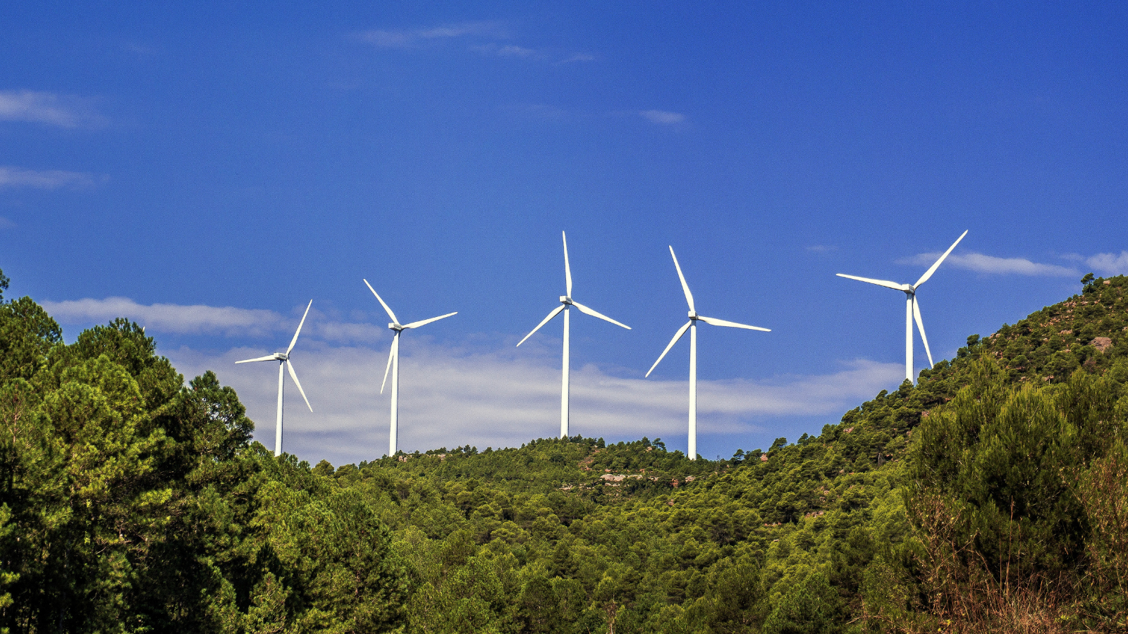AB’nin Sanayi Hızlandırma Yasası rüzgâr enerjisini stratejik sektör ilan etti 1 AB’nin Sanayi Hızlandırma Yasası rüzgâr enerjisini stratejik sektör ilan etti