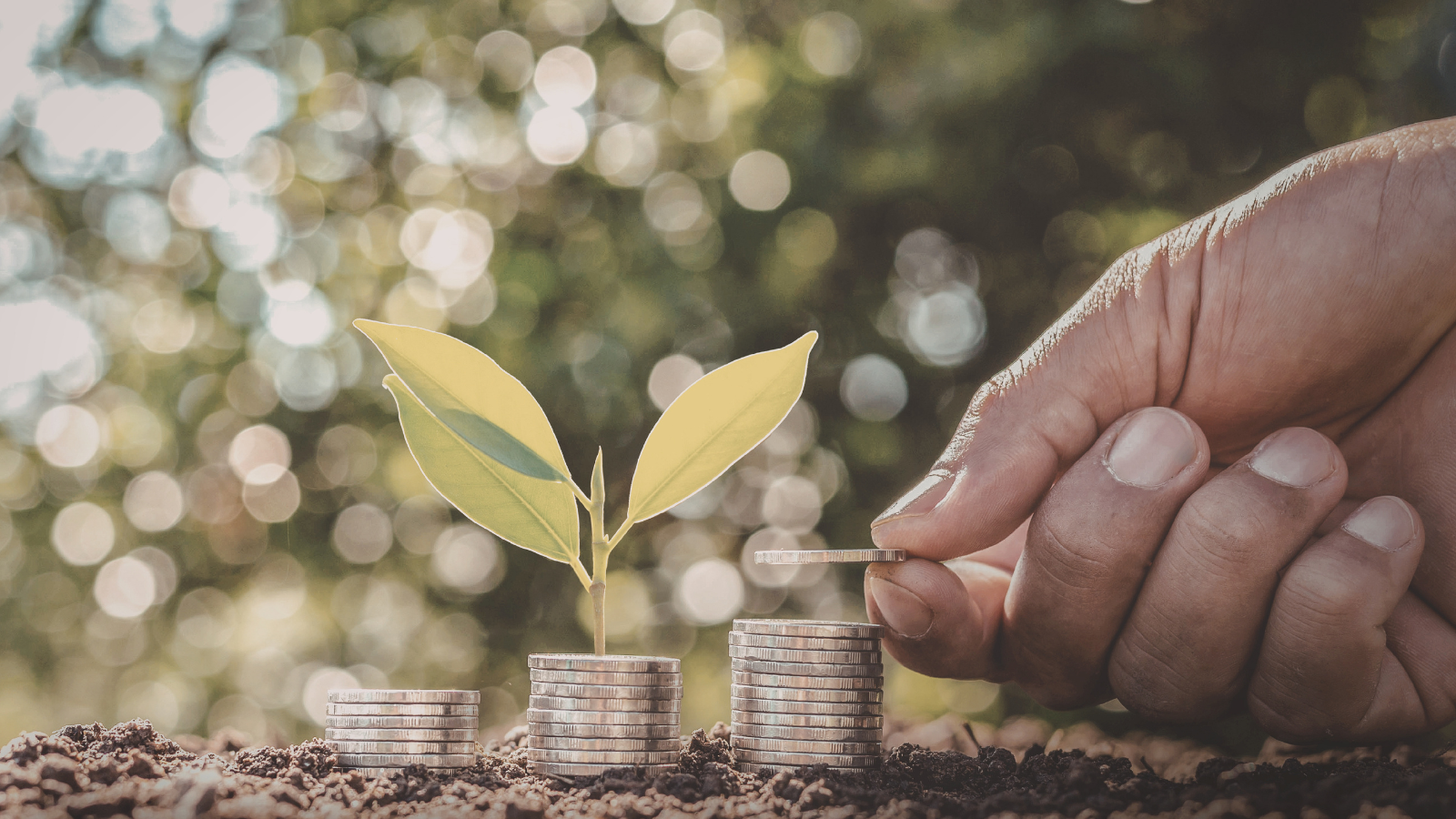 Rapor: Doğayı korumaya 1 dolar, doğaya zarar veren faaliyetlere 30 dolar harcanıyor 1 Rapor: Doğayı korumaya 1 dolar, doğaya zarar veren faaliyetlere 30 dolar harcanıyor