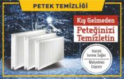 İstanbul Petek Temizliği – Petek Temizliği Nasıl Yapılır?