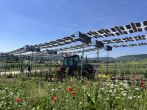 Üzüm bağlarında güneş enerjisi: Verim ve elektrik bir arada